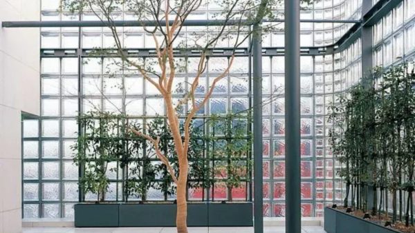 Cách xử lý gạch kính bị đọng nước
